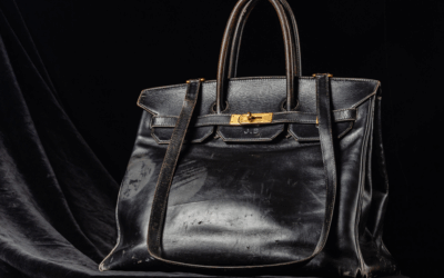 The Cult of Birkin: From Icon of Access to Symbol of Exclusion — and Back Again